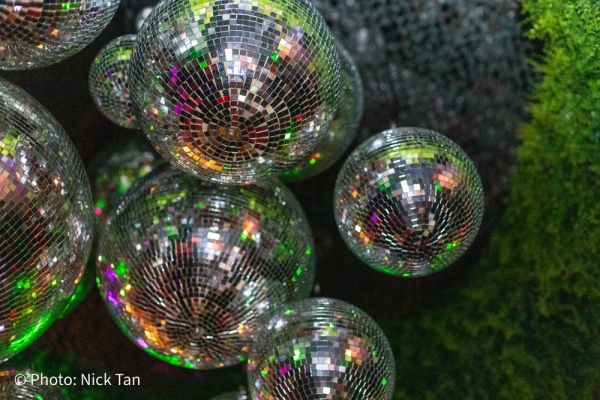 IMG_3628-2024-10-25T18_20_41.255